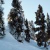 PICT0089.jpg
